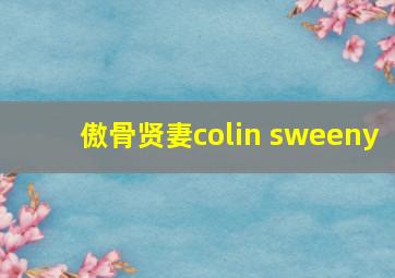 傲骨贤妻colin sweeny